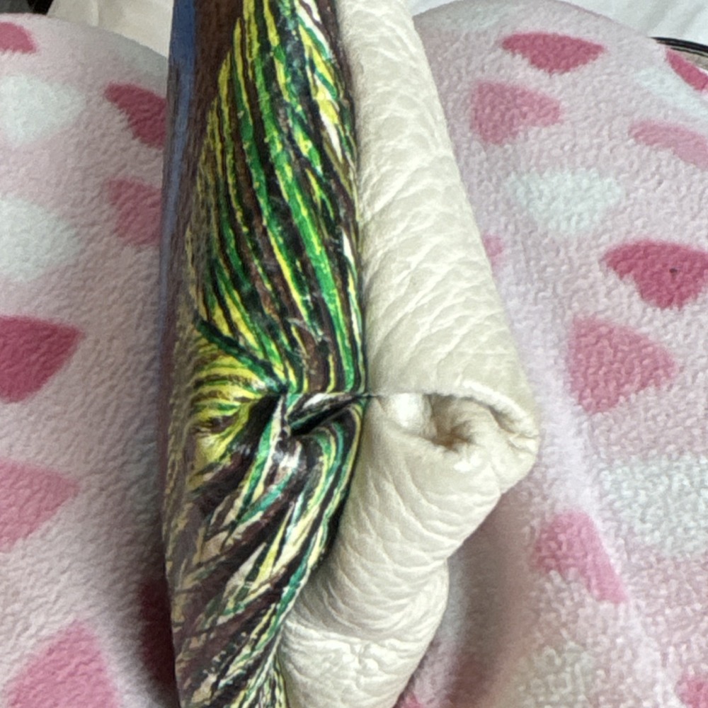 Elliott Lucca Ivory Shoulder Bag with Peacock Feather hand painted. - Picture 9 of 13